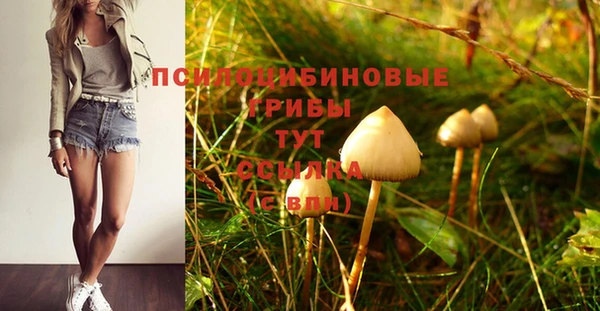 2c-b Абинск