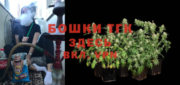 соль ск Алзамай